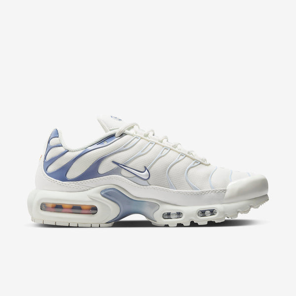 Nike Air Max Plus Ashen Slate
