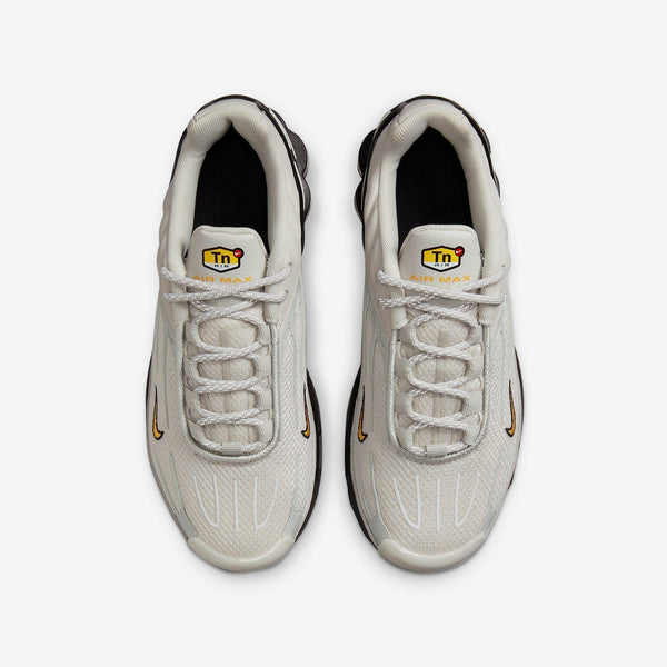 Nike Air Max Plus iii Grey/Black/Gold