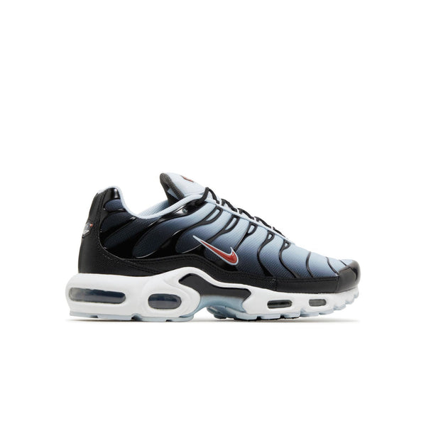 Nike Air Max Plus Swoosh Pack Blue Tint