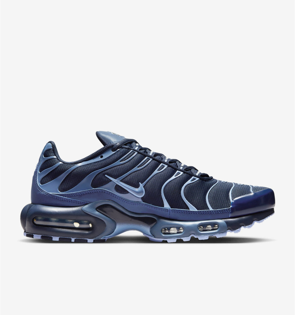 Nike TN Air Max Plus Obsidian Aluminum