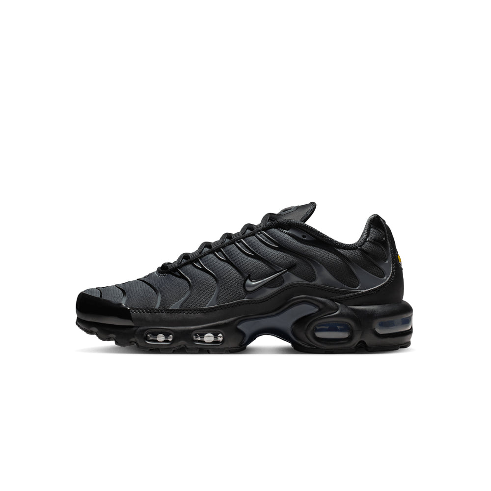 Nike Air Max TN Plus Dark Grey